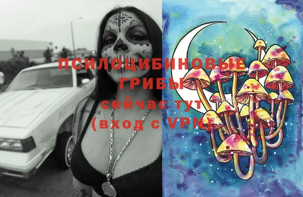 крисы Братск