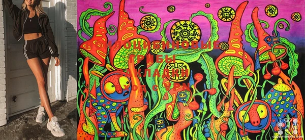 соль курить ск Великий Новгород