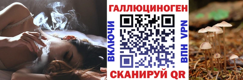 Псилоцибиновые грибы MAGIC MUSHROOMS  Купить где  Катав-Ивановск 